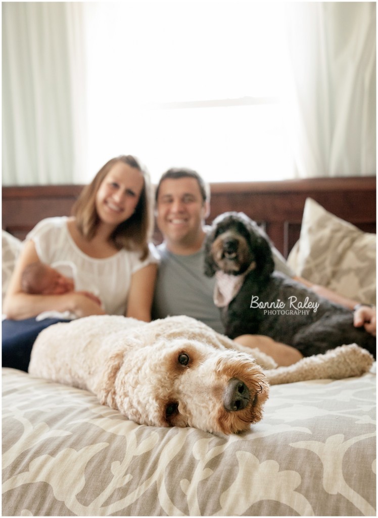 family with newborn and dogs on bed